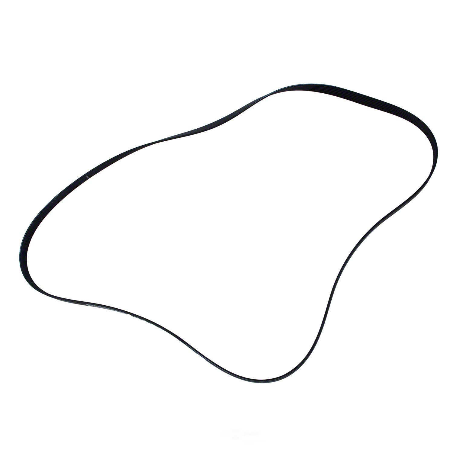 MOTORCRAFT - Serpentine Belt - MOT JK6-812-B