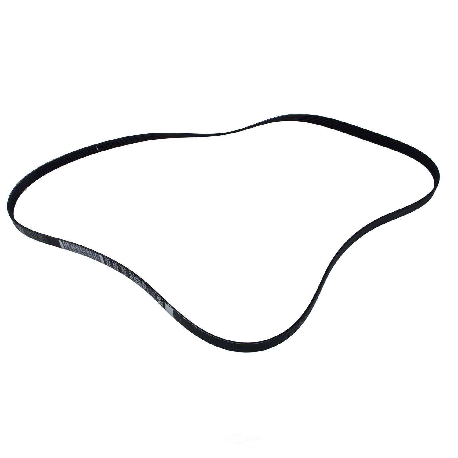MOTORCRAFT - Serpentine Belt - MOT JK6-812-B