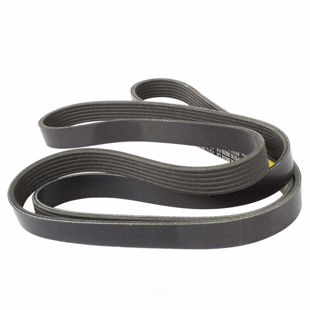 MOTORCRAFT - Serpentine Belt - MOT JK6-823-C