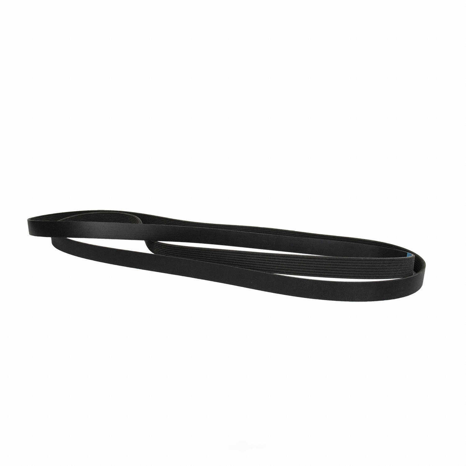 MOTORCRAFT - Serpentine Belt - MOT JK8-1356