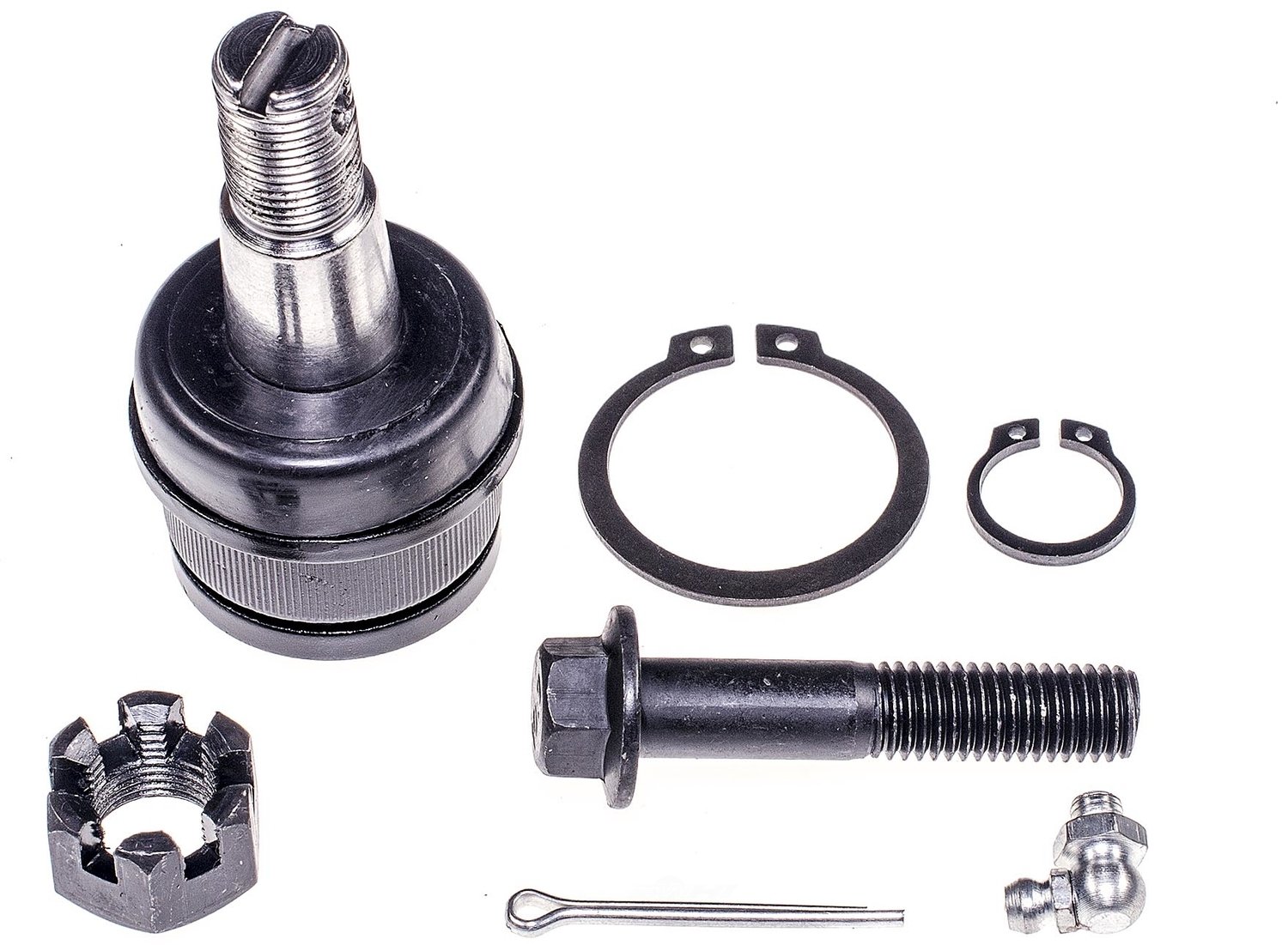 MAS INDUSTRIES - Suspension Ball Joint (Front Lower) - MSI B8673
