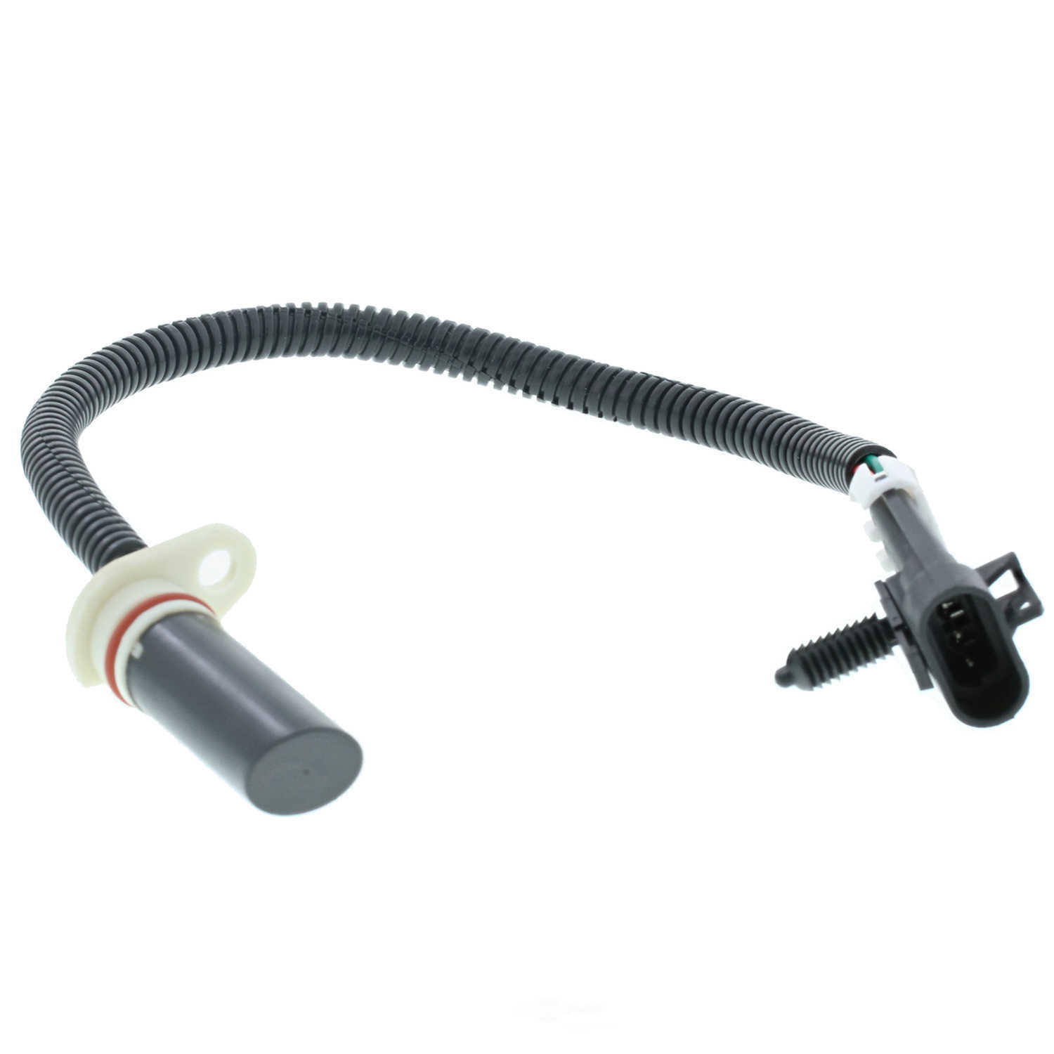 MOTORAD - Engine Camshaft Position Sensor - MTO - 1cs116
