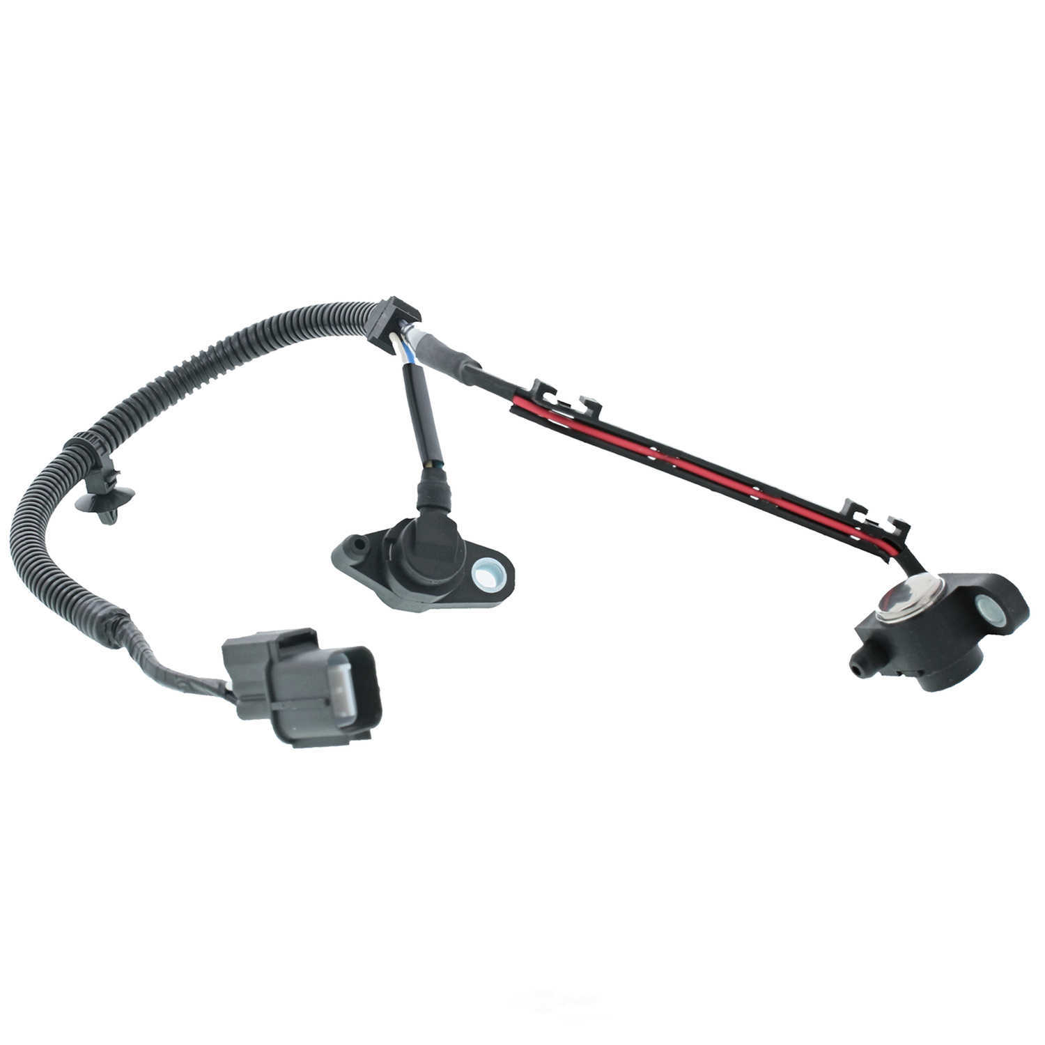 MOTORAD - Engine Crankshaft Position Sensor - MTO - 1kr137
