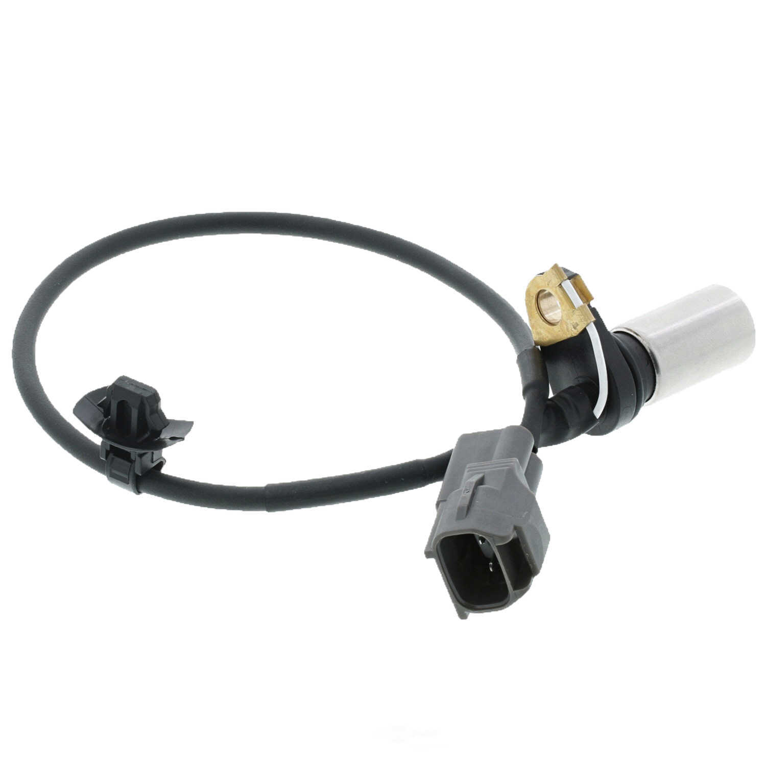 MOTORAD - Engine Crankshaft Position Sensor - MTO - 1kr164