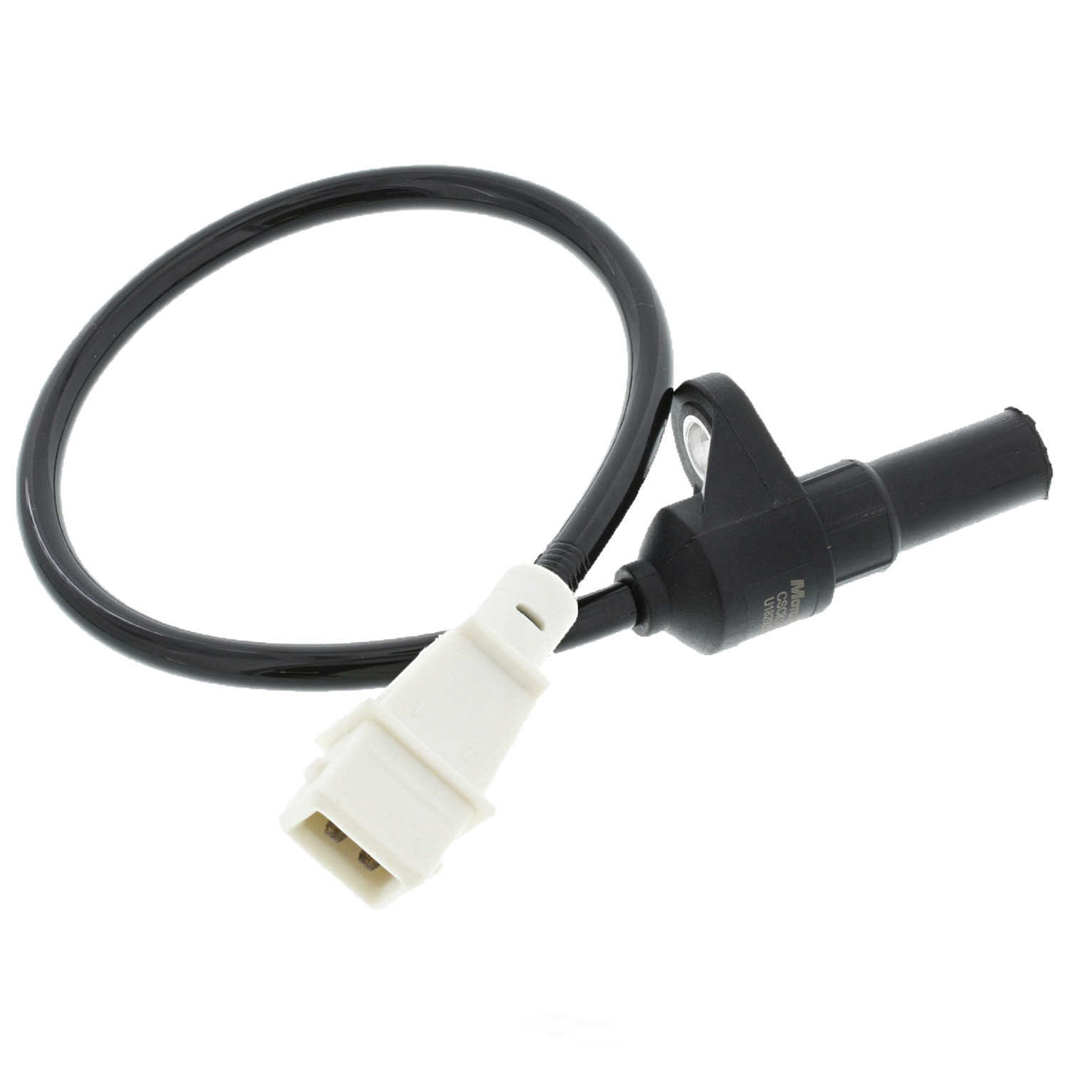 MOTORAD - Engine Crankshaft Position Sensor - MTO - 1kr262