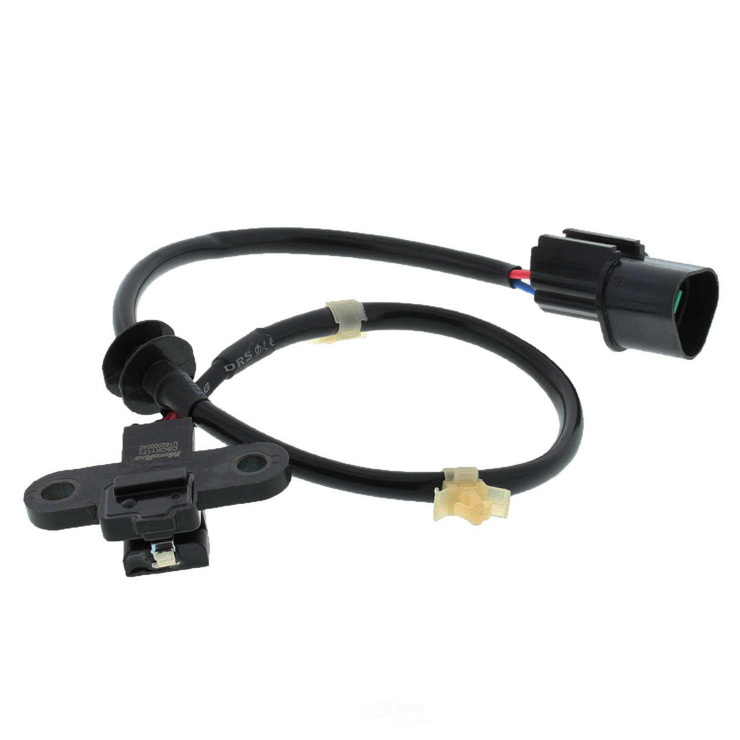MOTORAD - Engine Crankshaft Position Sensor - MTO - 1kr271