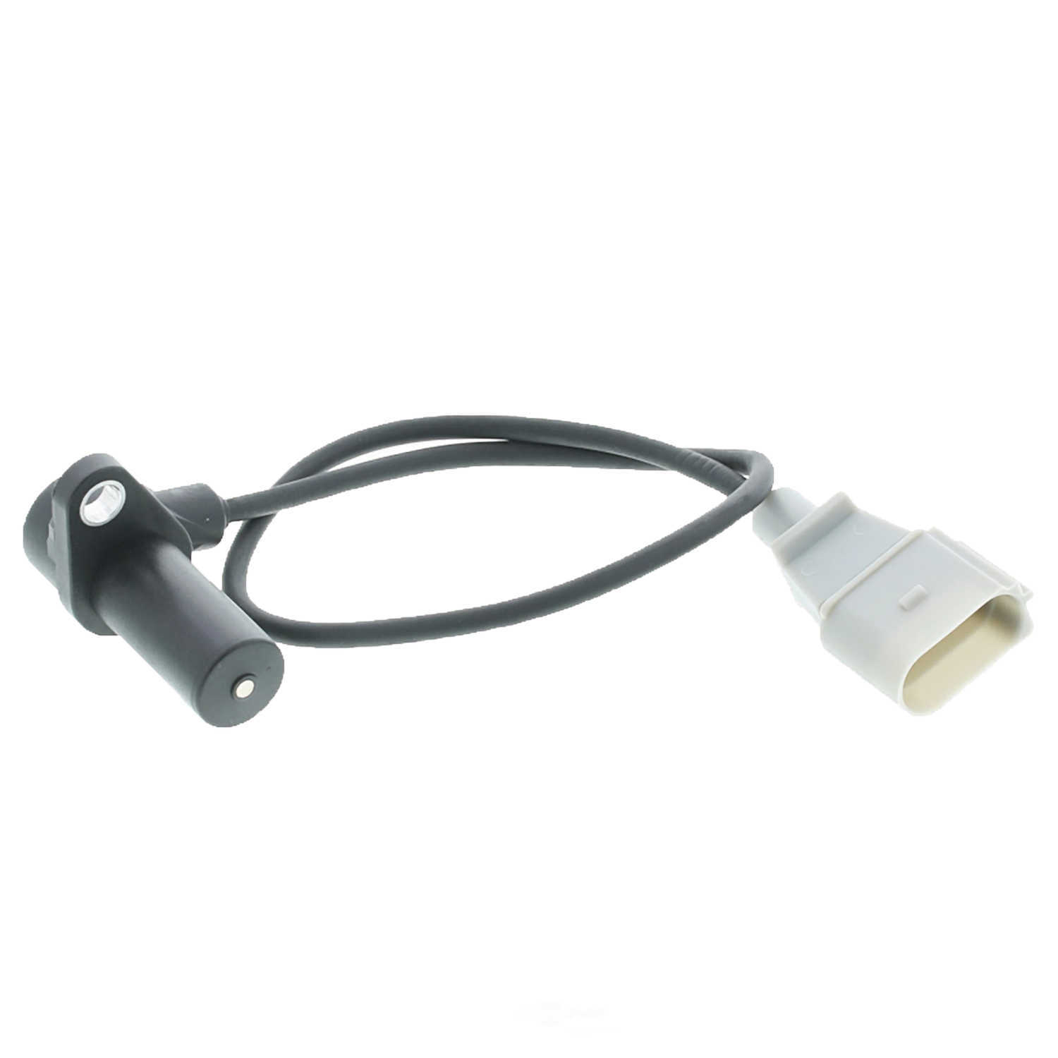 MOTORAD - Engine Crankshaft Position Sensor - MTO - 1kr327