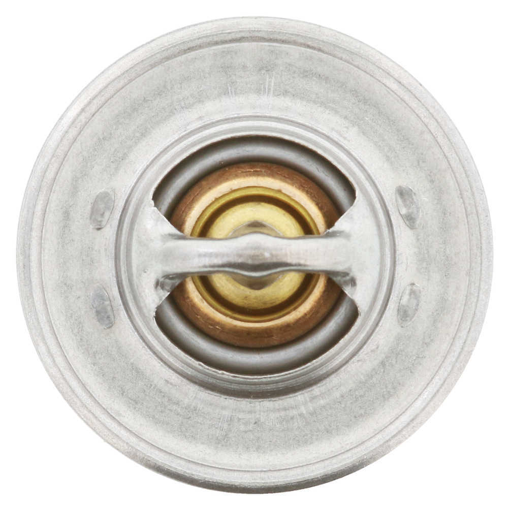 Thermostat-190 Degrees