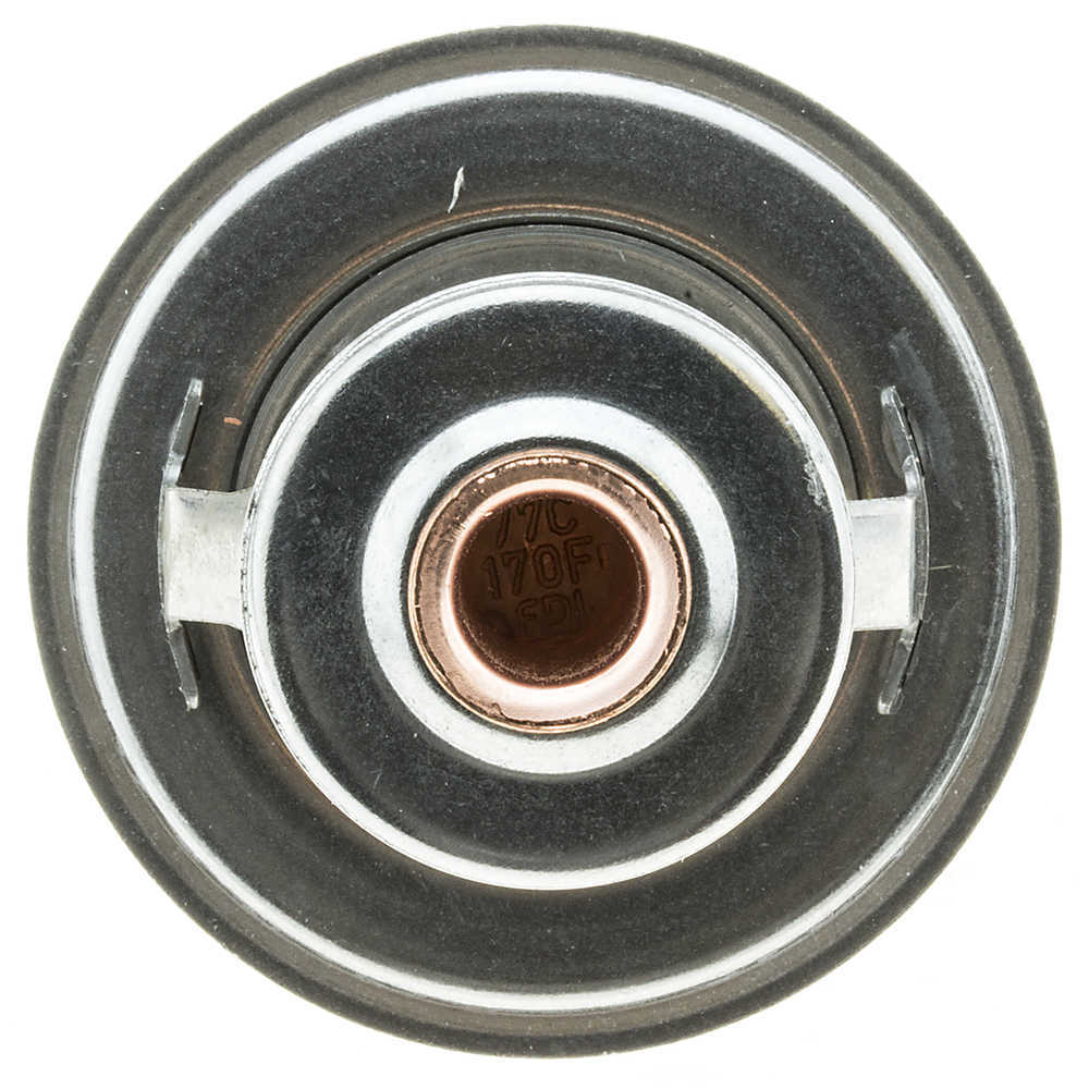 Thermostat-170 degrés