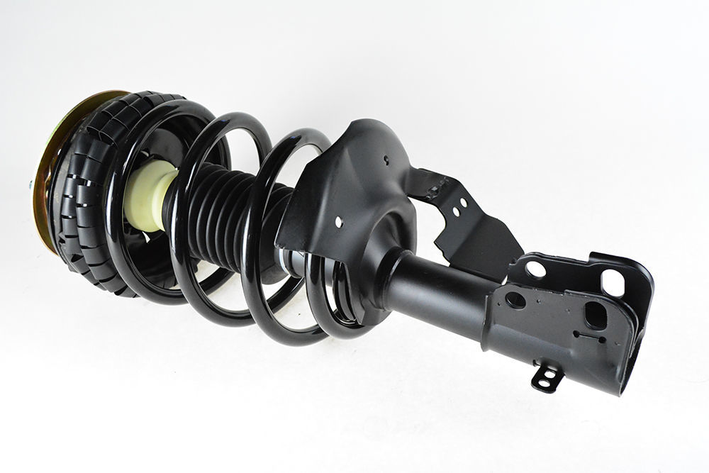 OSC - Suspension Strut & Coil Spring Assembly - O19 - q171820