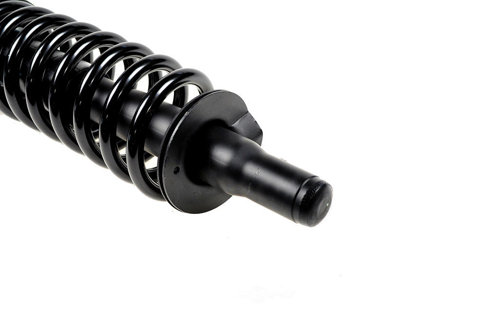 OSC - Suspension Strut & Coil Spring Assembly - O19 - q171341