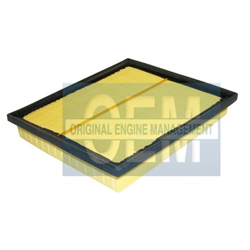 ORIGINAL ENGINE MANAGEMENT - Air Filter - OEM - af821