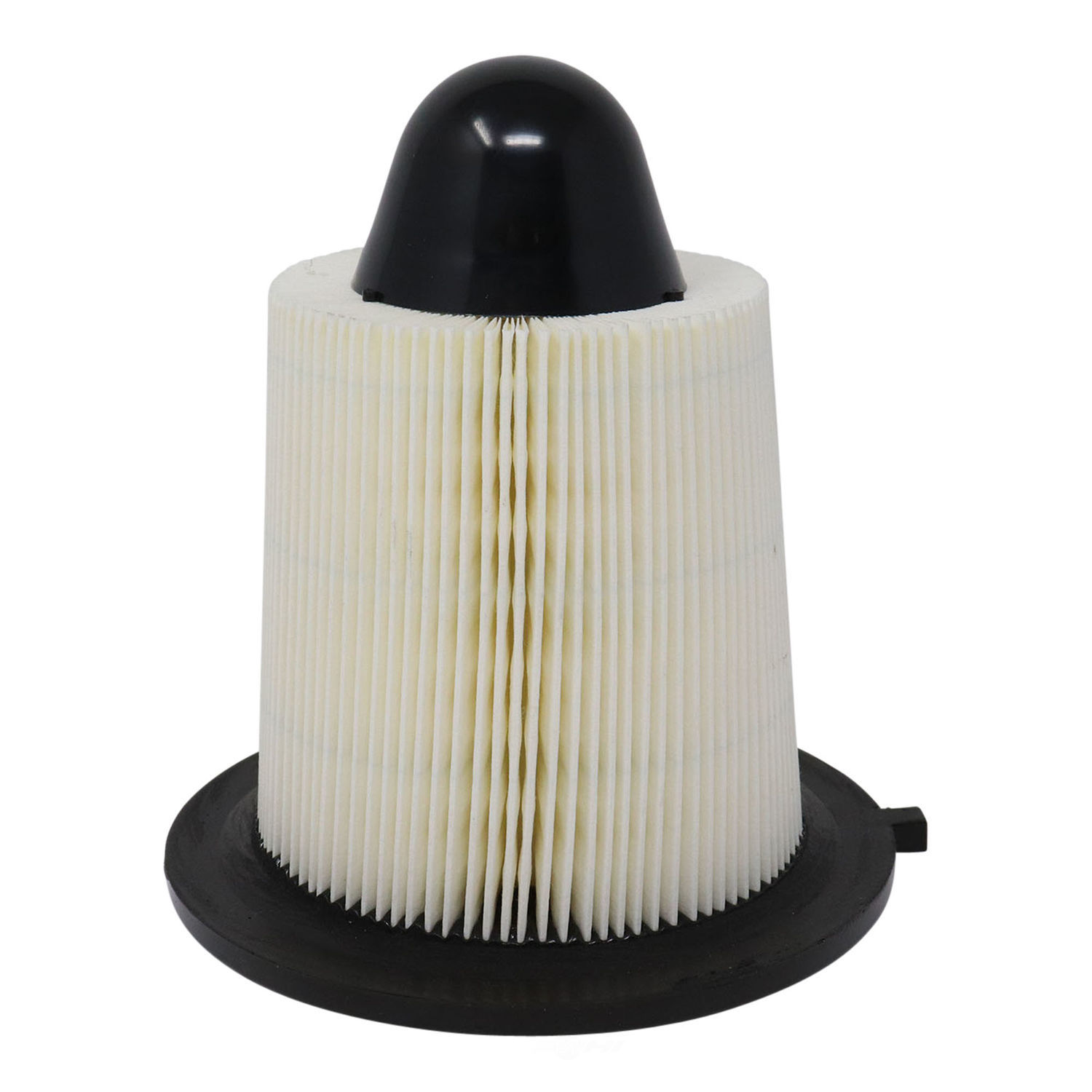 PRIME GUARD - Prime Guard - PGF - paf5155