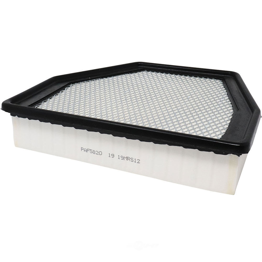 PRIME GUARD - Prime Guard - PGF - paf5820