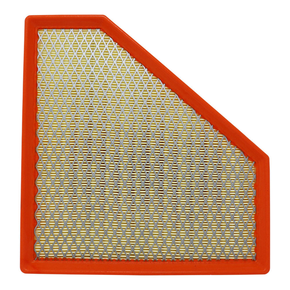 PRIME GUARD - Prime Guard - PGF - pafw3203