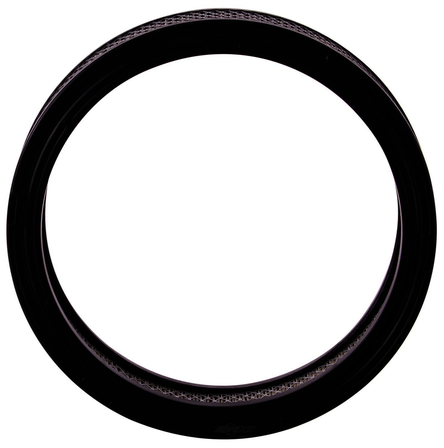 PGI EXTENDED LIFE - Air Filter - PGI PA59