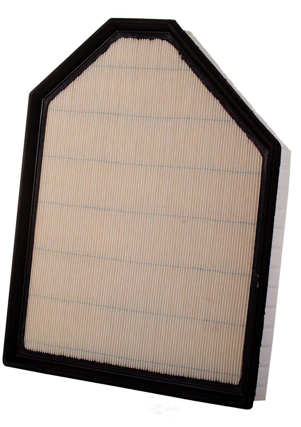 PGI EXTENDED LIFE - Air Filter - PGI PA99005