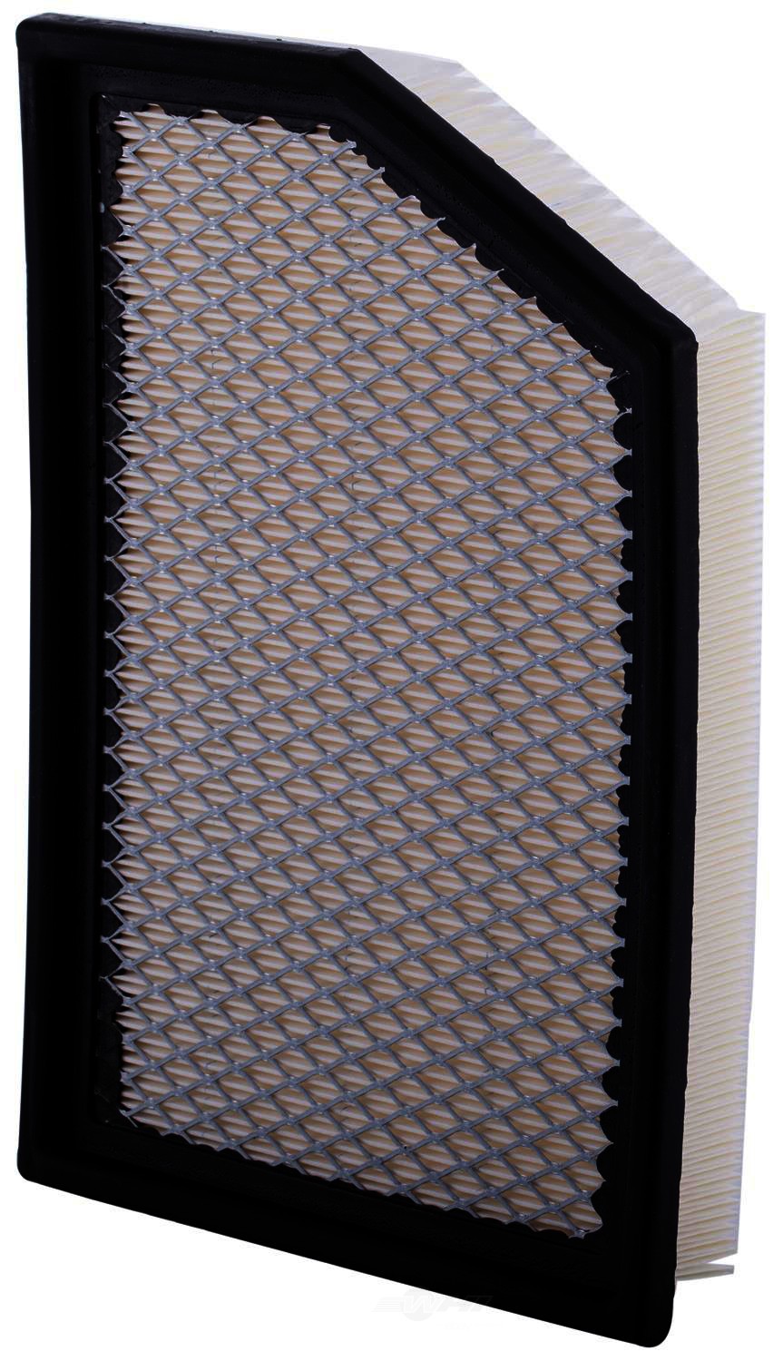 PGI EXTENDED LIFE - Air Filter - PGI PA9969