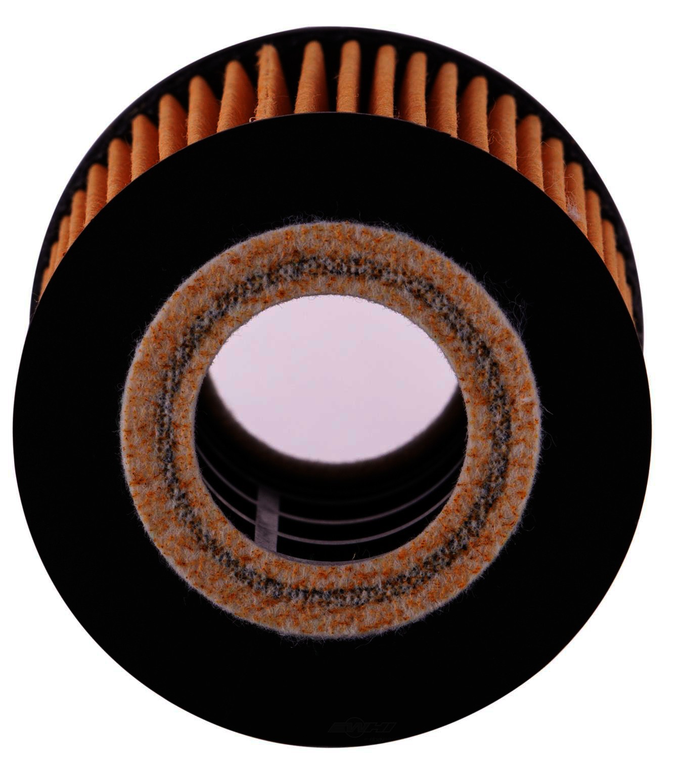 PGI EXTENDED LIFE - Extended Life Oil Filter - PGI PG5505EX