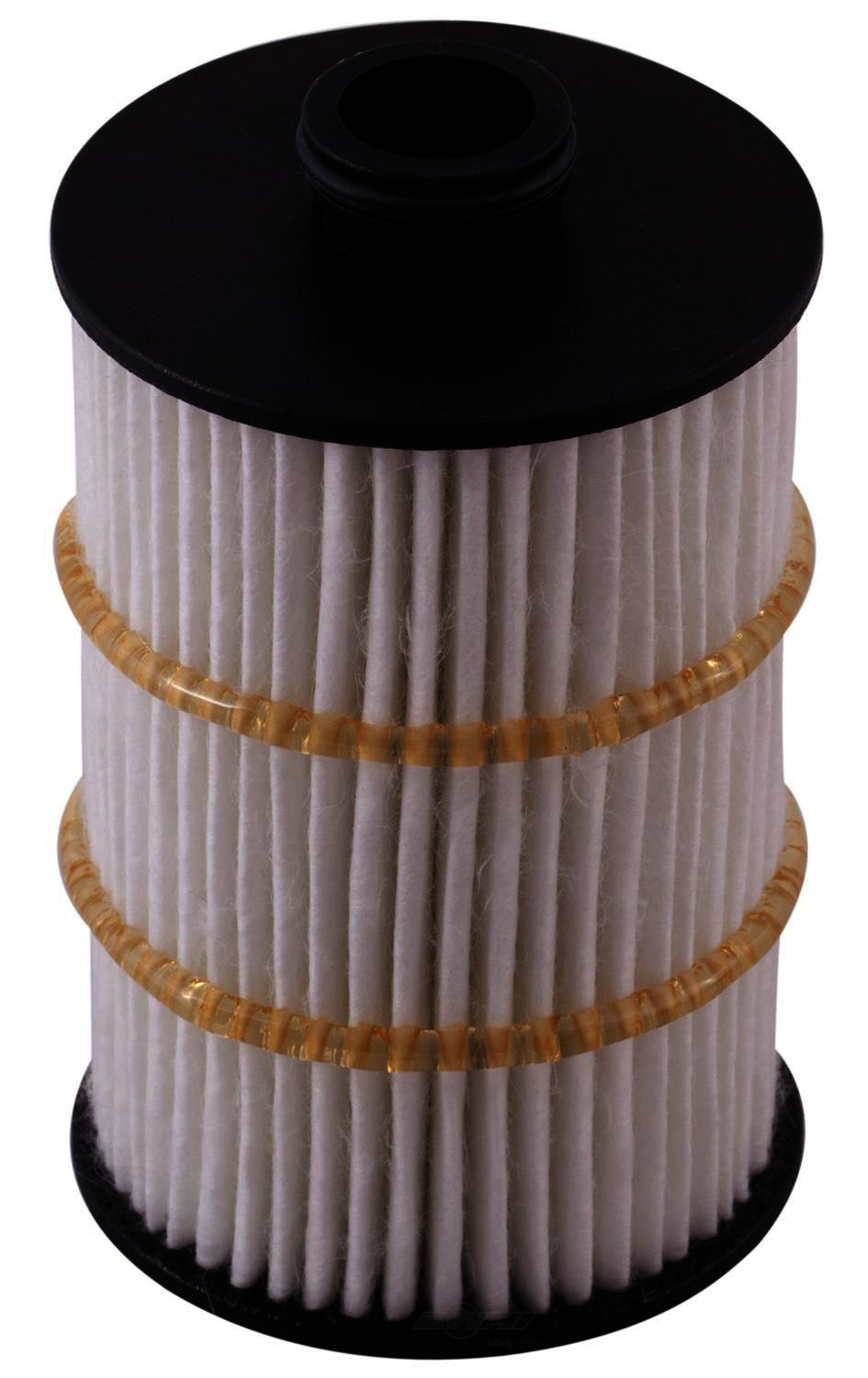 PGI EXTENDED LIFE - Extended Life Oil Filter - PGI PG9981EX