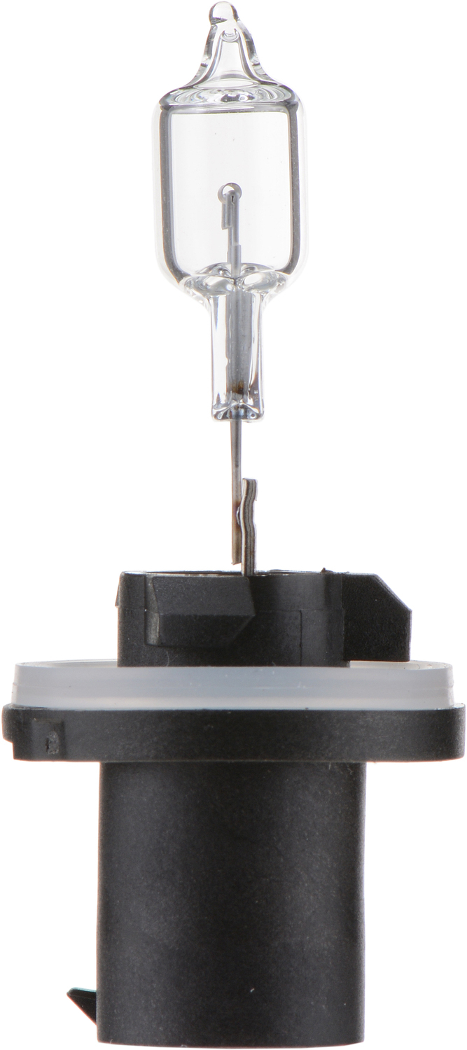 PHILIPS LIGHTING COMPANY - Standard - Single Blister Pack Back Up Light Bulb - PLP 890B1