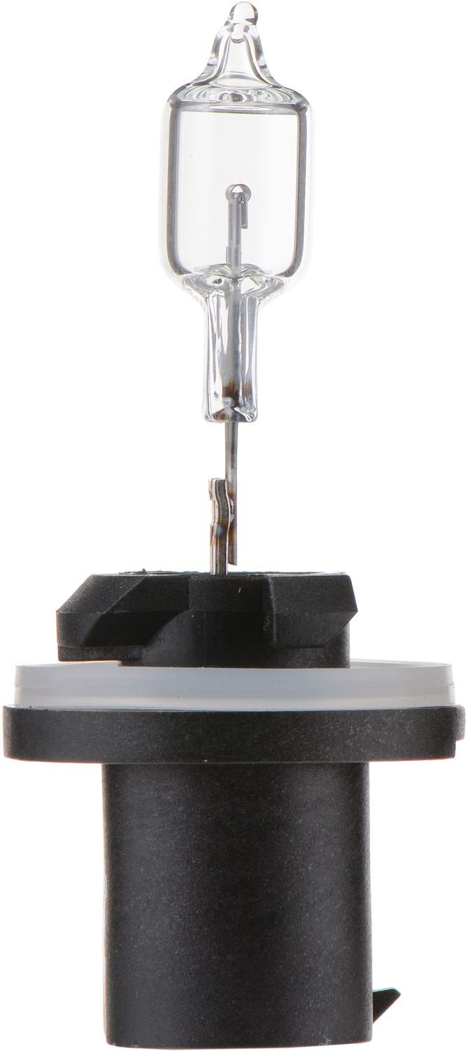 PHILIPS LIGHTING COMPANY - Standard - Single Blister Pack Back Up Light Bulb - PLP 890B1