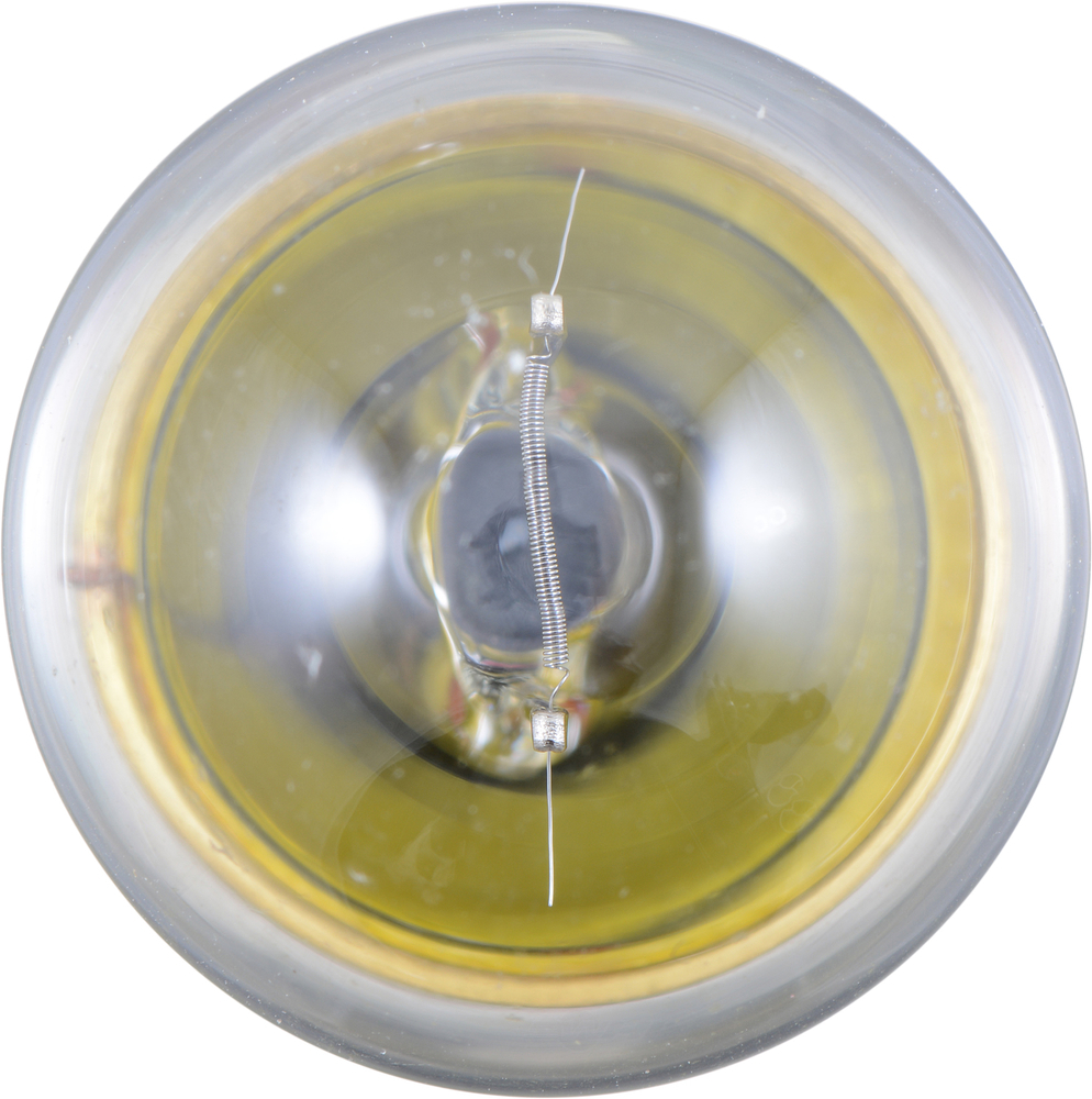 Philips Standard Miniature 67