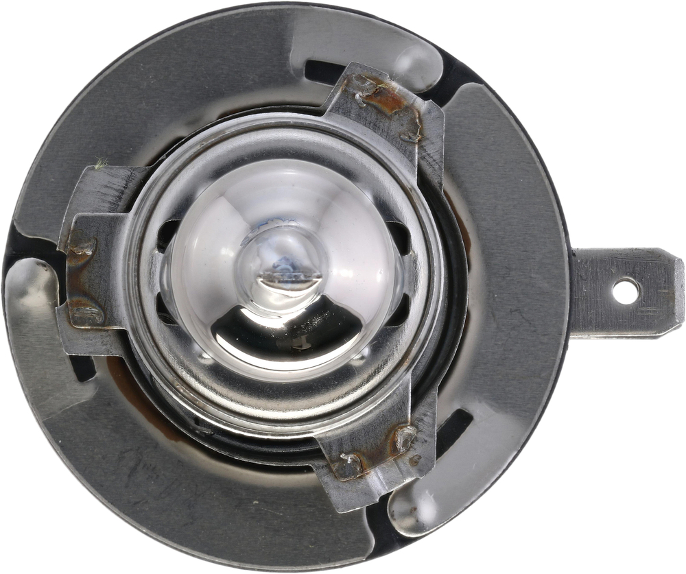 Philips NightGuide platinum Headlight H11B