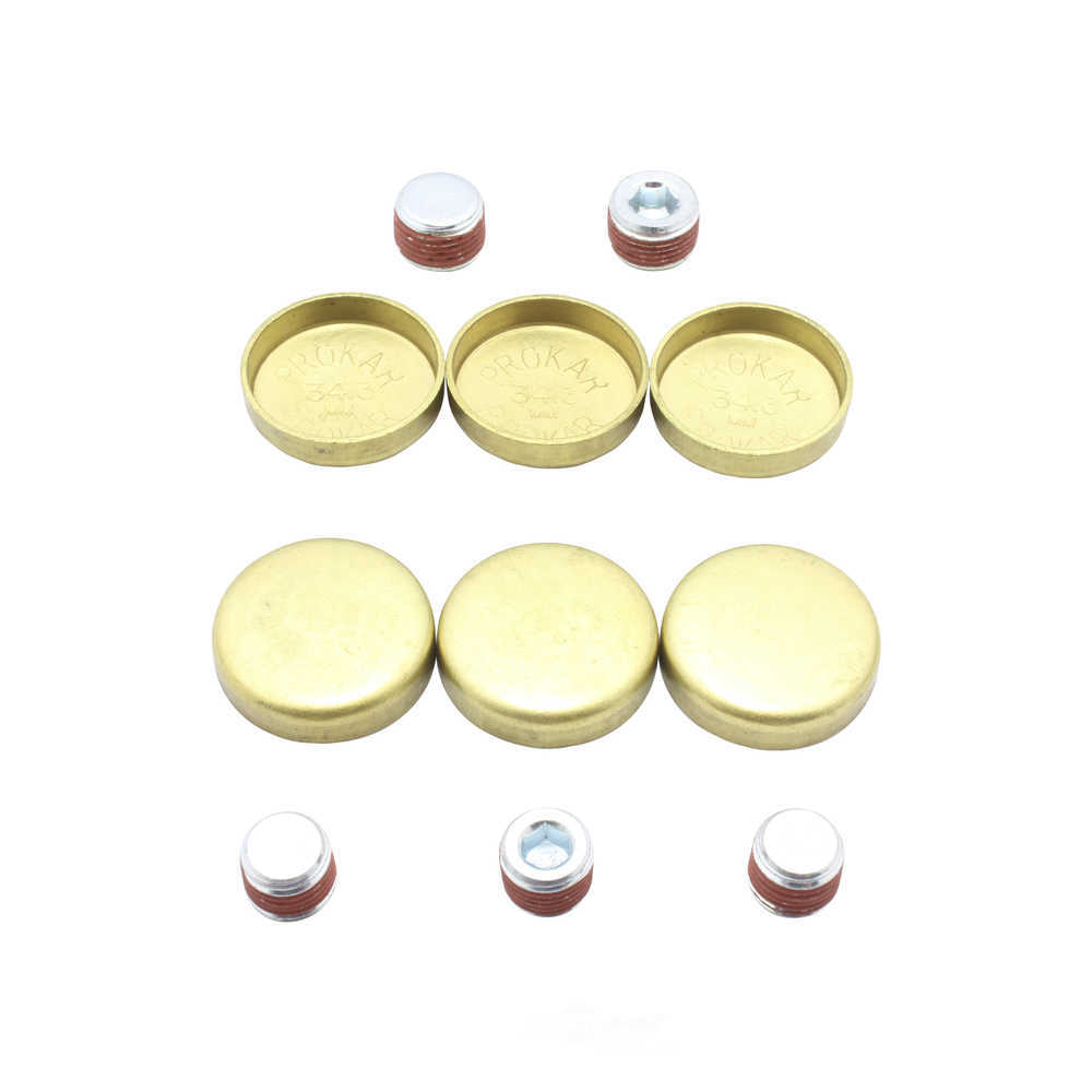 DNJ ENGINE COMPONENTS - Engine Expansion Plug Kit - RKP - fps3131