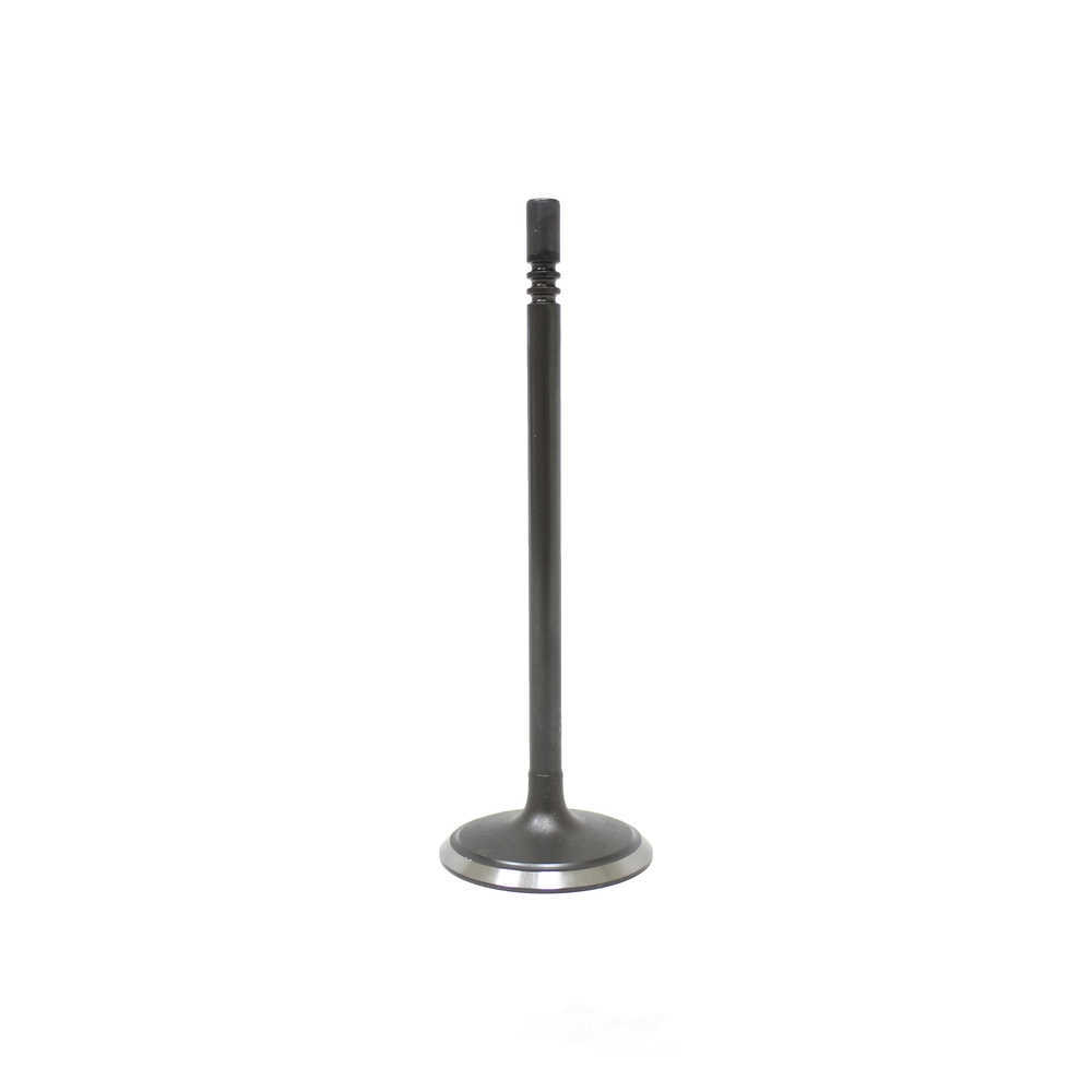 DNJ ENGINE COMPONENTS - Engine Intake Valve - RKP - iv1169