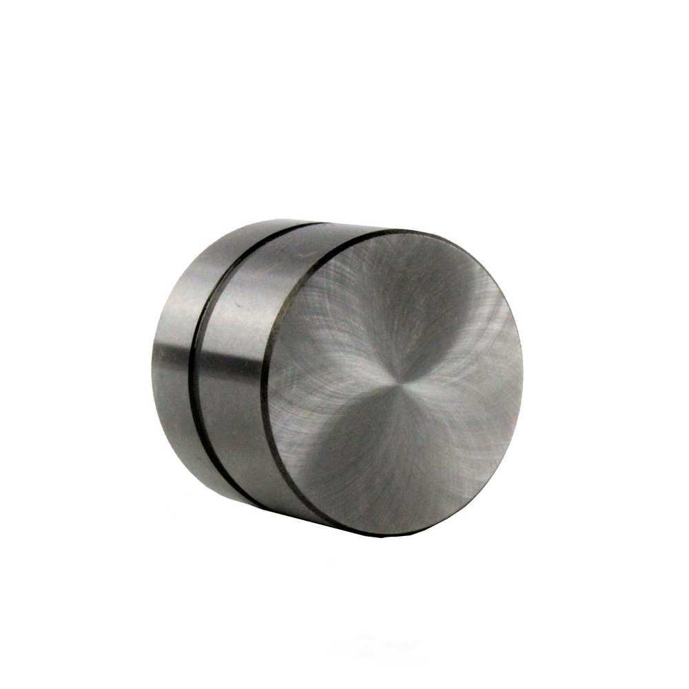 DNJ ENGINE COMPONENTS - Engine Valve Lifter - RKP - lif800e