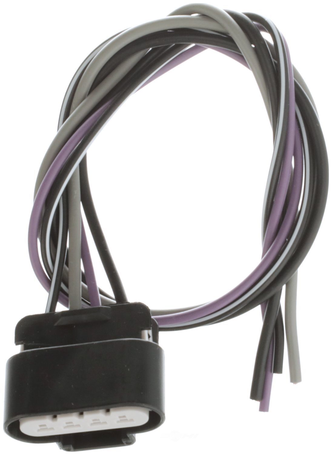 SPARTA - Fuel Pump Wiring Harness - SA1 PN9001