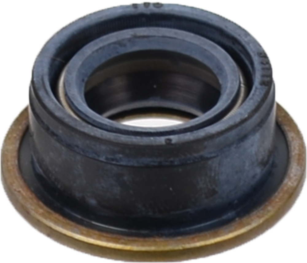 SKF (CHICAGO RAWHIDE) - Manual Trans Extension Housing Seal - SKF 5553