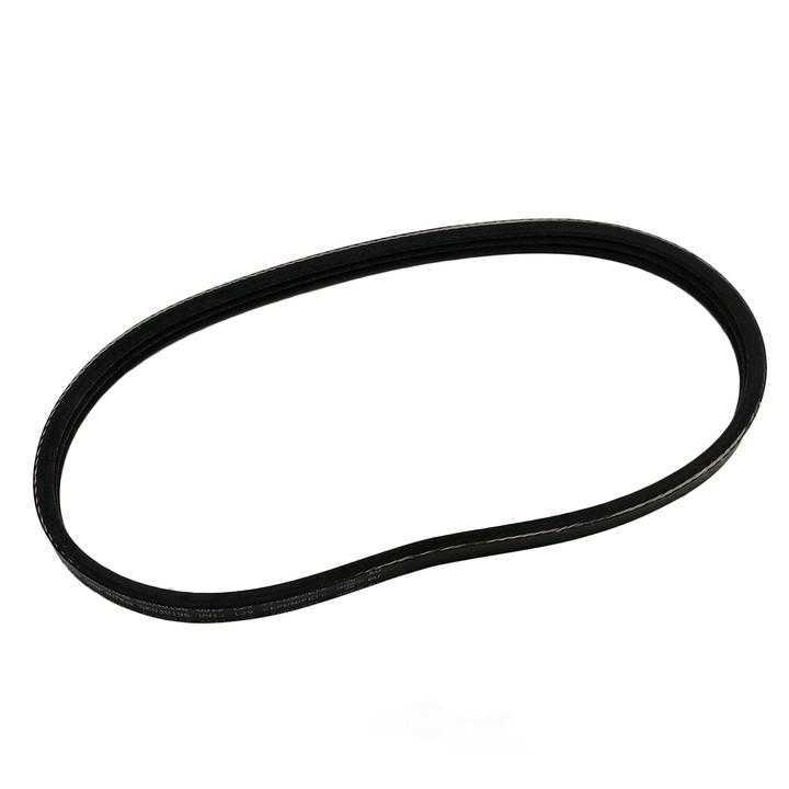 SKP - Serpentine Belt - SKP - sk030196