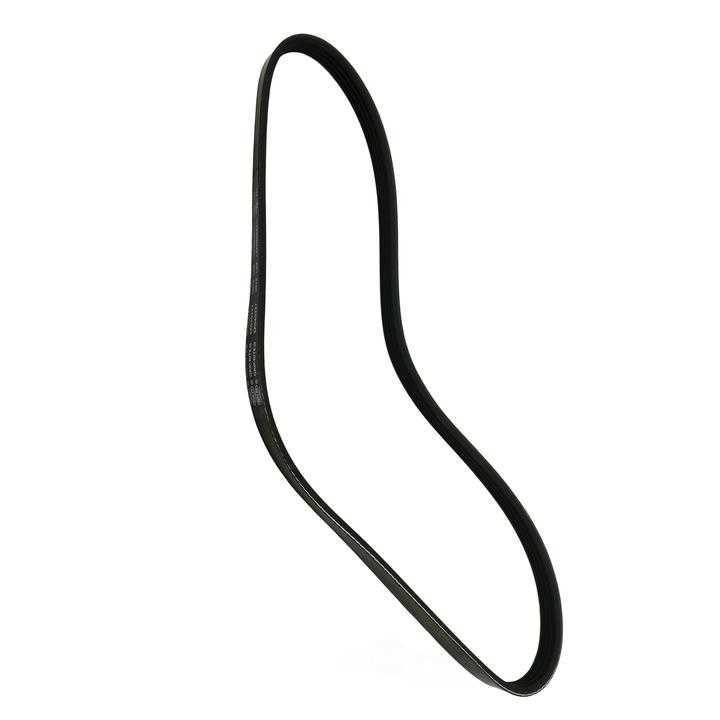 SKP - Serpentine Belt - SKP - sk040337