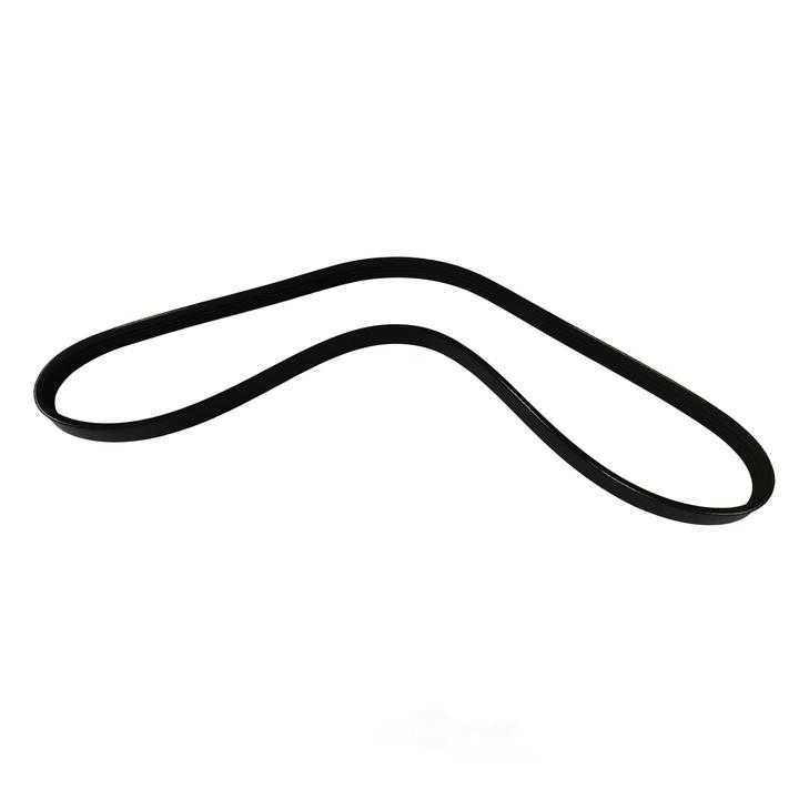 SKP - Serpentine Belt - SKP - sk040352