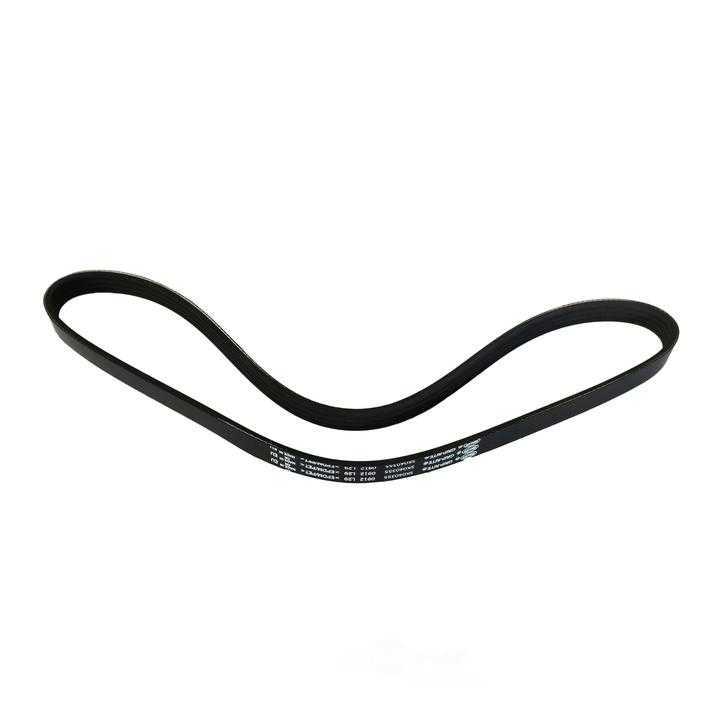 SKP - Serpentine Belt - SKP - sk040355