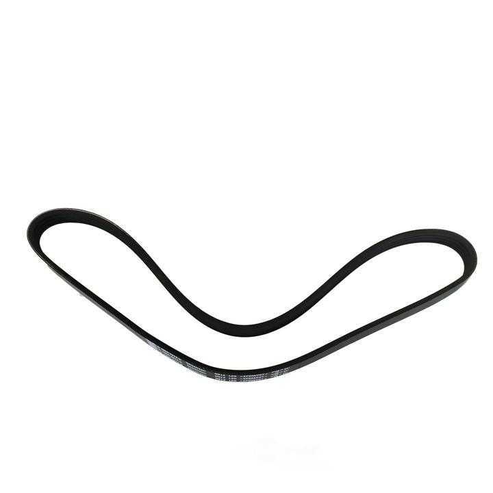 SKP - Serpentine Belt - SKP - sk040360