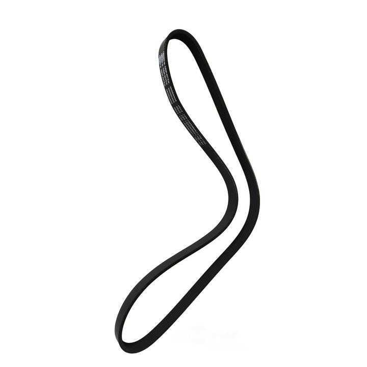 SKP - Serpentine Belt - SKP - sk050404