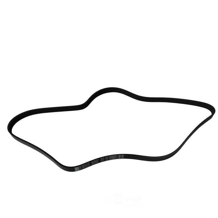 SKP - Serpentine Belt - SKP - sk050551