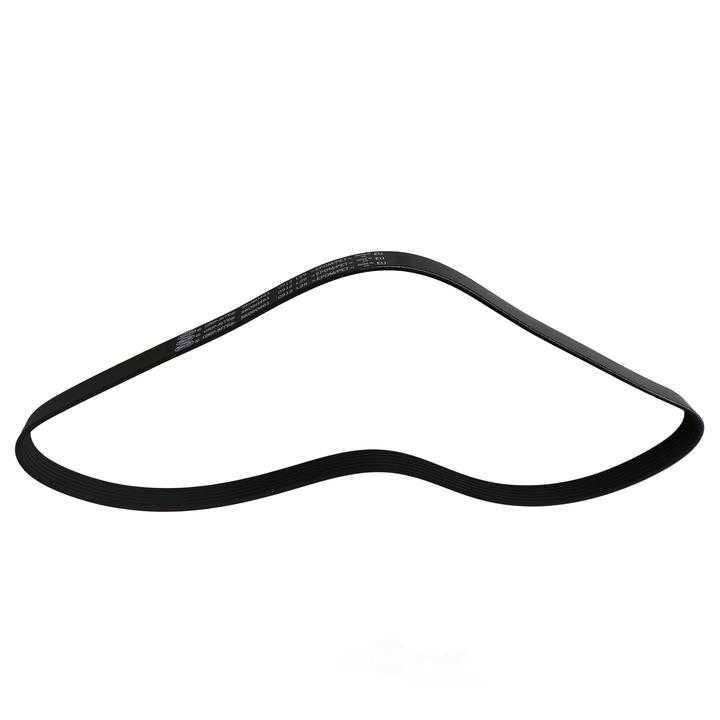 SKP - Serpentine Belt - SKP - sk060461