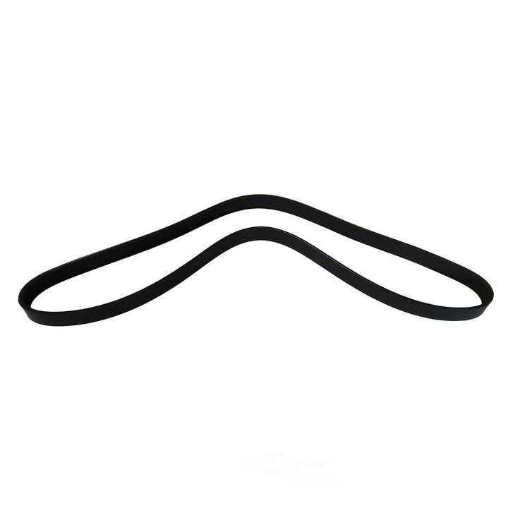 SKP - Serpentine Belt - SKP - sk060468