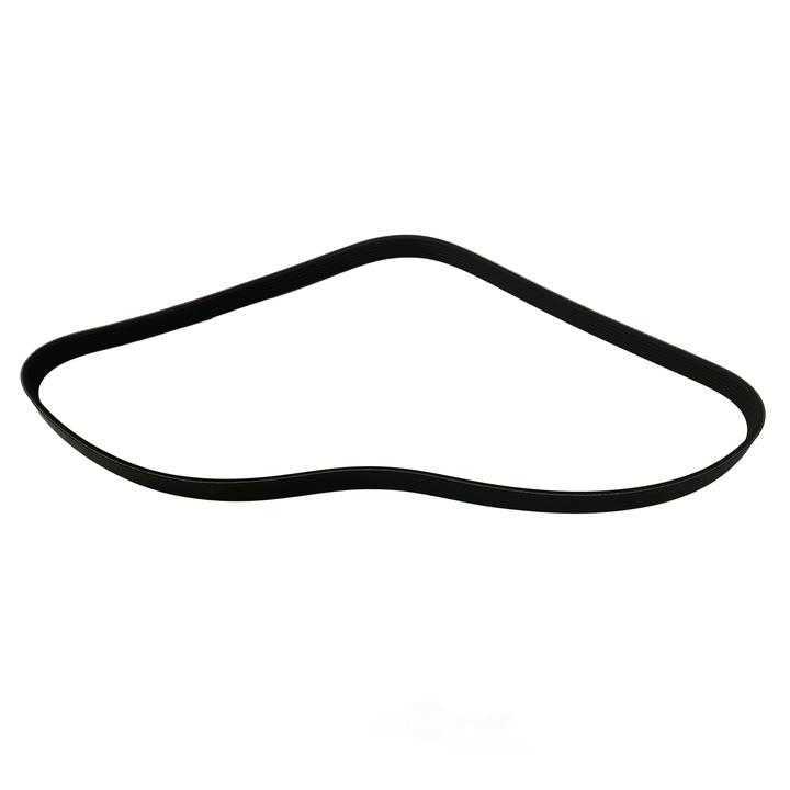 SKP - Serpentine Belt - SKP - sk060494
