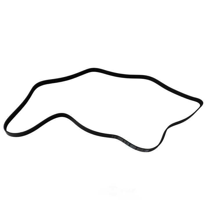 SKP - Serpentine Belt - SKP - sk060825