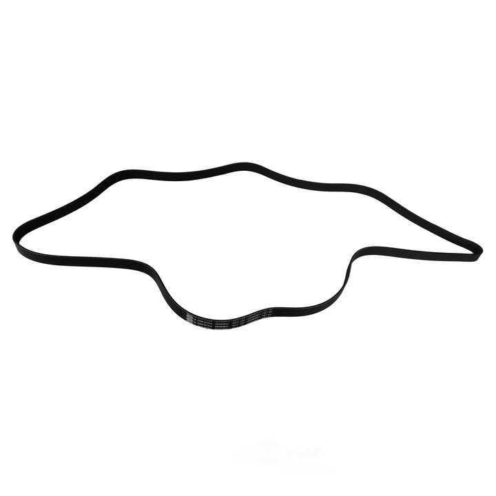 SKP - Serpentine Belt - SKP - sk060841