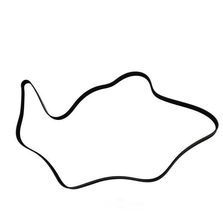 SKP - Serpentine Belt - SKP - sk060875