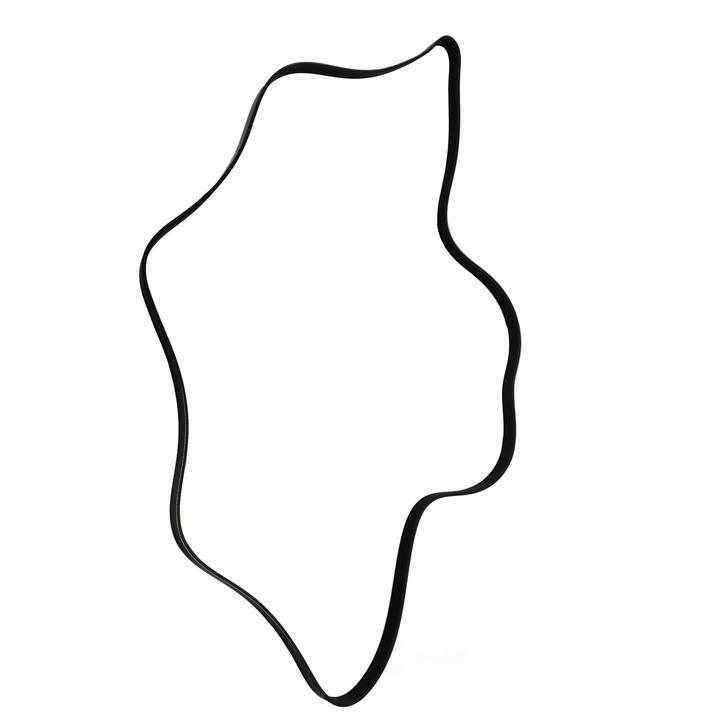 SKP - Serpentine Belt - SKP - sk060880a