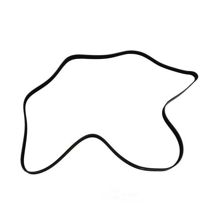 SKP - Serpentine Belt - SKP - sk060905