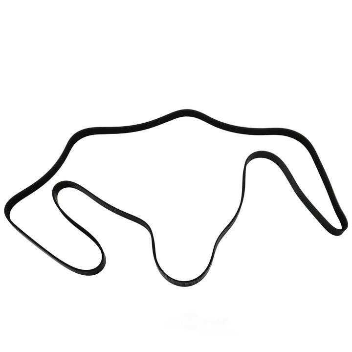 SKP - Serpentine Belt - SKP - sk061058