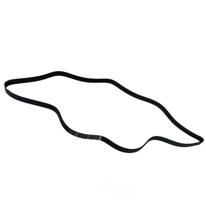 SKP - Serpentine Belt - SKP - sk080948